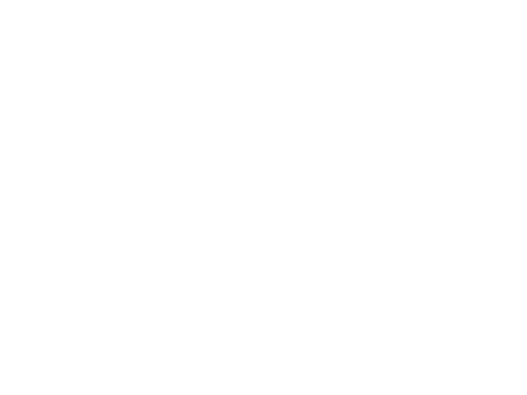 Logo de Andrea Anjelina, cliente de APE Experience