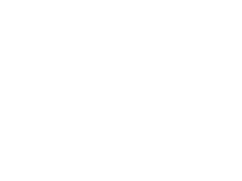 Logo de Iracar Foods, cliente de APE Experience