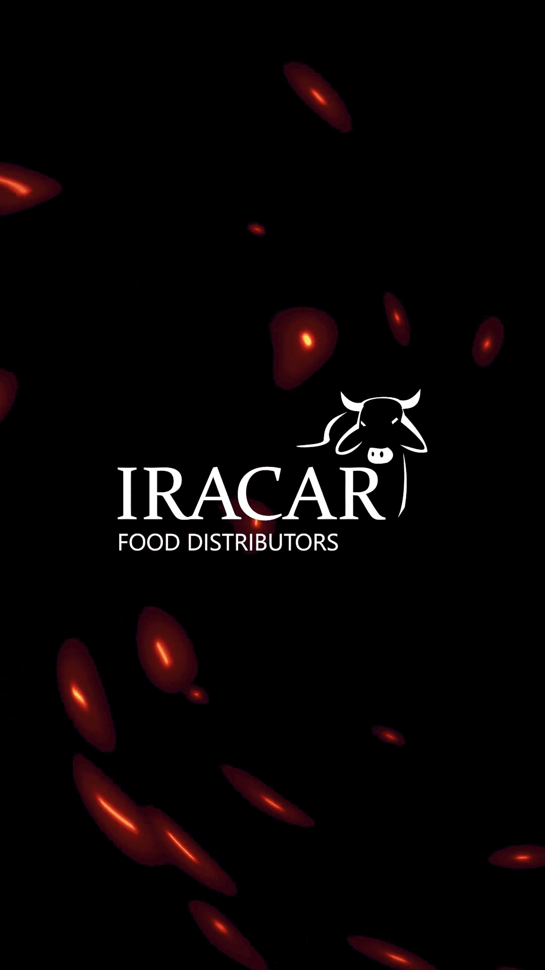 Video comercial para página web